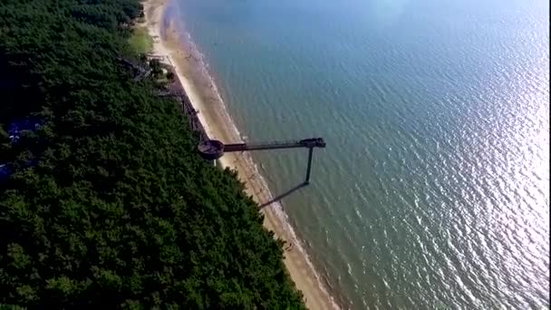 Lotu Ptaka Skywalk Ośrodku Songlim Góry Las Azji Janghang Chungcheongnamdo — Wideo stockowe