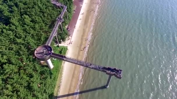 Lotu Ptaka Skywalk Ośrodku Songlim Góry Las Azji Janghang Chungcheongnamdo — Wideo stockowe