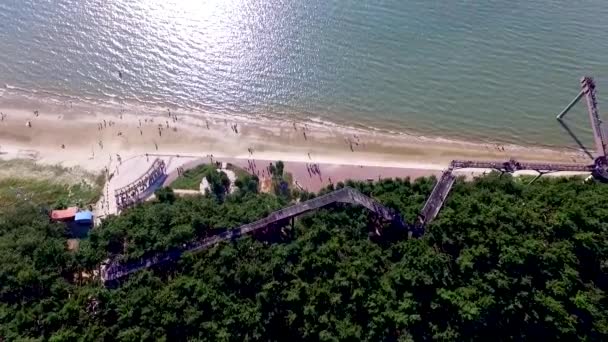 Lotu Ptaka Skywalk Ośrodku Songlim Góry Las Azji Janghang Chungcheongnamdo — Wideo stockowe