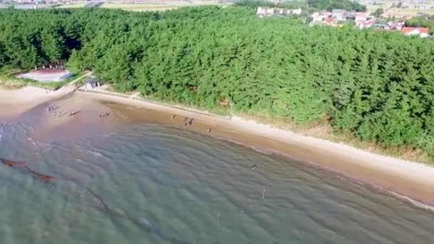 Widok Lotu Ptaka Janghang Songlim Góry Forest Beach Resort Seocheon — Wideo stockowe