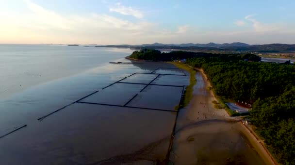 Flygfoto Över Janghang Songlim Mountain Forest Resort Beach Seocheon Sydchungcheong — Stockvideo