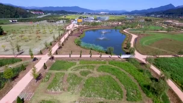 Vista Aérea Del Jardín Botánico Changpowon Geochang Gyeongnam Corea Del — Vídeo de stock