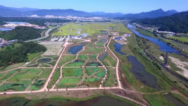 Εναέρια Άποψη Του Changpowon Βοτανικός Κήπος Geochang Τόγκο Νότια Κορέα — Αρχείο Βίντεο