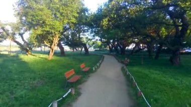 Seongbak ormanı, Seongju, Gyeongbuk, Güney Kore Asya havadan görünümü