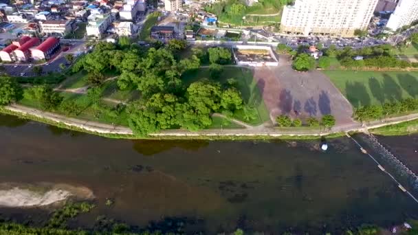 Vista Aérea Del Bosque Seongbak Seongju Gyeongbuk Corea Del Sur — Vídeos de Stock