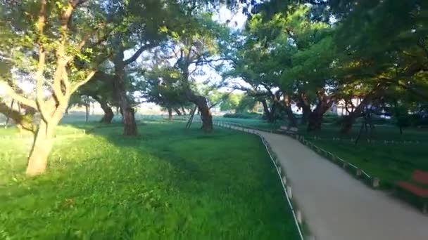 Vista Aérea Del Bosque Seongbak Seongju Gyeongbuk Corea Del Sur — Vídeos de Stock