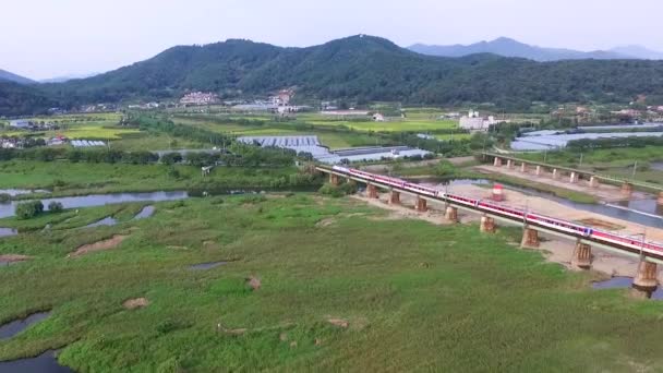 Miryang Nehri Gyeongnam South Korea Üzerinde Çalışan Tren — Stok video