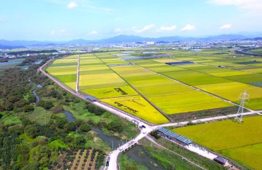 Hava View Cosmos Road ve Mujeom Köyü, Changwon,: Gyeongnam, South Korea, Asya'da pirinç çeltik boyama