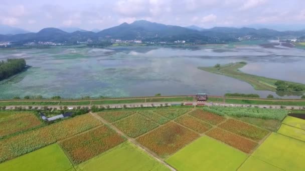 Aerial View Junam Reservoir Changwon Gyeongnam South Korea Asia — Stock Video