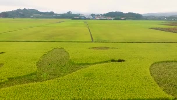 Αεροφωτογραφία Της Ασίας Junam Δεξαμενή Changwon Τόγκο Νότιος Κορέα — Αρχείο Βίντεο