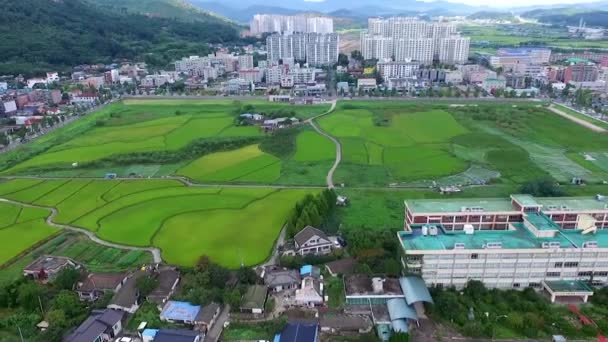 Eonyang Eupseong Kalesi Ulju Ulsan Güney Kore Asya Havadan Görünümü — Stok video