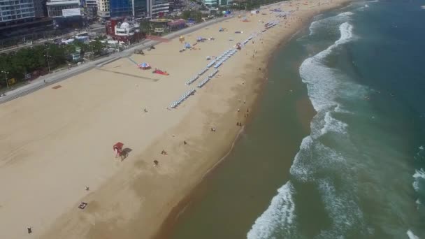 Aerial View Summer Haeundae Beach Пусан Южная Корея Азия — стоковое видео