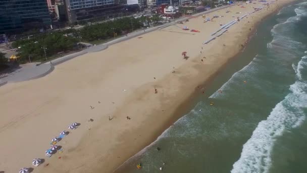 Widok Plażę Haeundae Letnich Asia Busan Korea Południowa — Wideo stockowe