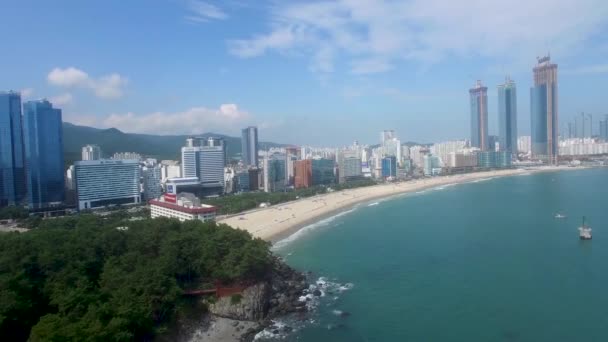Aerial View Summer Haeundae Beach Пусан Южная Корея Азия — стоковое видео