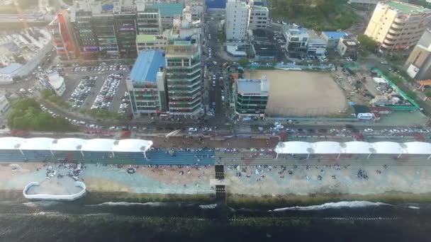 Molti Popoli Nel Minrak Seaside Park Gwangalli Busan Corea Del — Video Stock
