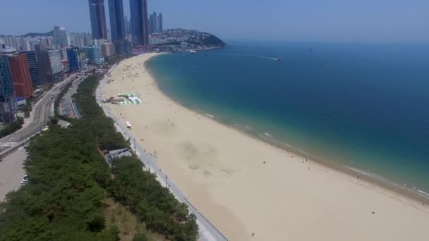 Widok Plażę Haeundae Busan Korea Południowa Asia — Wideo stockowe