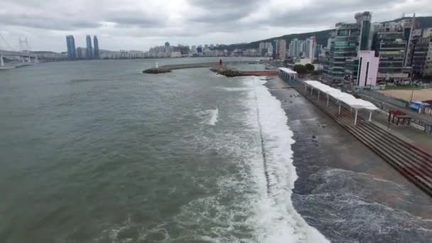 Typoon Komende Minrak Waterside Park Gwangalli Busan Zuid Korea Azië — Stockvideo