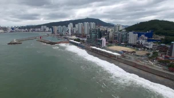 Typoon Coming Minrak Waterside Park Gwangalli Busan Corea Del Sur — Vídeo de stock