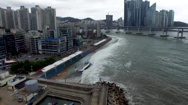 Typoon Komende Minrak Waterside Park Gwangalli Busan Zuid Korea Azië — Stockvideo