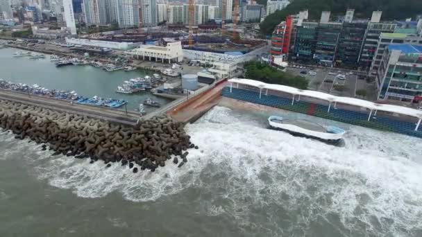Typoon Coming Minrak Port Gwangalli Pusan Korea Południowa Azja — Wideo stockowe