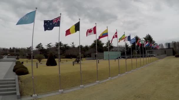 韩国的 纪念公墓向来自16个国家的联合国士兵和来自5个国家的 援助部队致敬 这些士兵在1950 1953 朝鲜战争中阵亡 — 图库视频影像