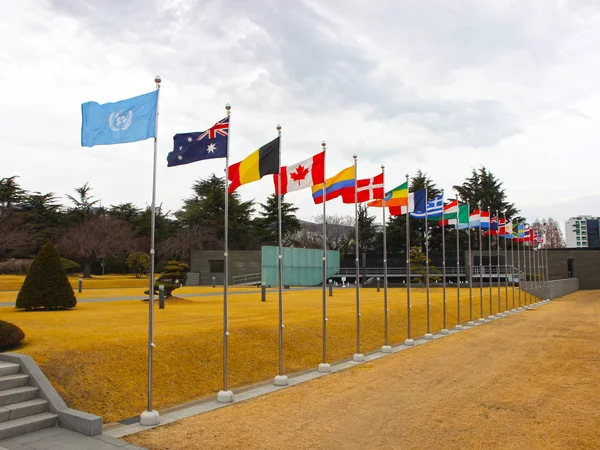 Государственные флаги развеваются в воздухе мемориального кладбища ООН в Пусане, Южная Корея, Азия — стоковое фото