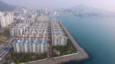 Havadan görünümü Cherry Blossoms sokak Namcheondong, Suyeonggu, Busan, Güney Kore, Asya.