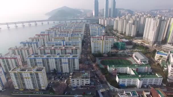 Légi Cseresznyefavirág Nézet Street Namcheondong Suyeonggu Busan Dél Korea Ázsia — Stock videók