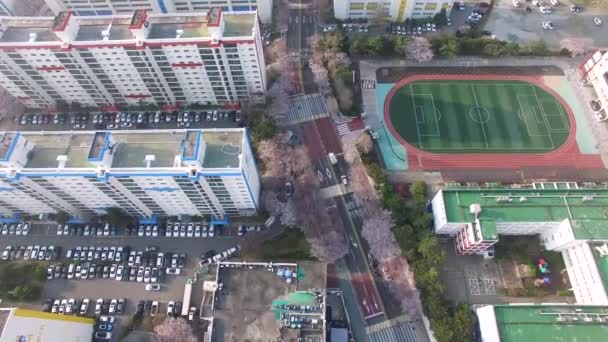 Aerial View Cherry Blossoms Street Namcheondong Suyeonggu Busan Sydkorea Asien — Stockvideo