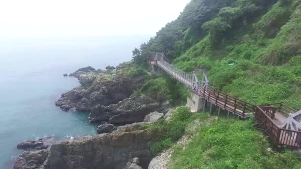 Вид Воздуха Парк Igidae Пусан Южная Корея Азия — стоковое видео