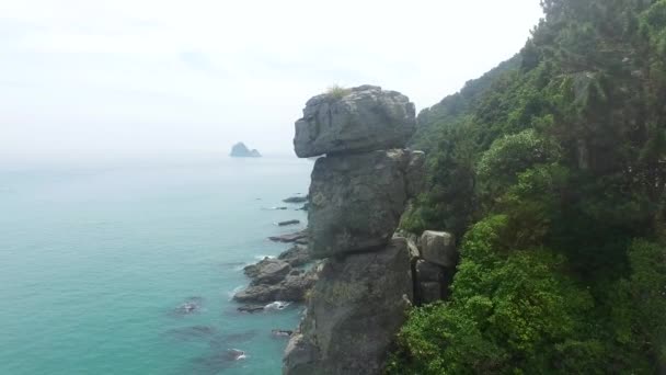 Nongbawi Stone Igidae Park Taki Havadan Görünümü Busan Güney Kore — Stok video