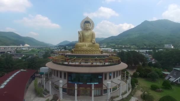 Vue Aérienne Temple Hongbeopsa Busan Corée Sud Asie — Video