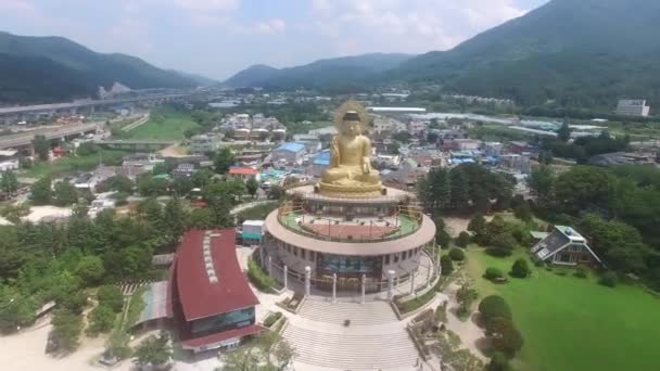Widok Lotu Ptaka Hongbeopsa Temple Busan Korea Południowa Azja — Wideo stockowe
