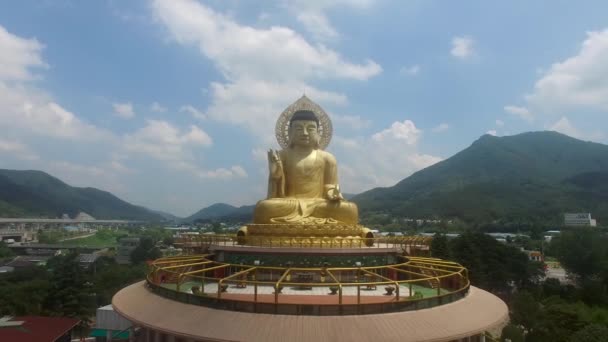 Vue Aérienne Temple Hongbeopsa Busan Corée Sud Asie — Video