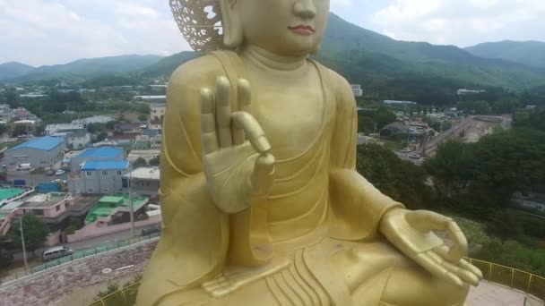 Vista Aérea Del Templo Hongbeopsa Busan Corea Del Sur Asia — Vídeos de Stock