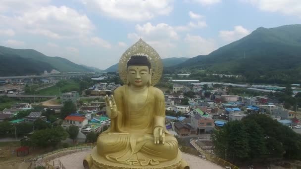 Widok Lotu Ptaka Hongbeopsa Temple Busan Korea Południowa Azja — Wideo stockowe