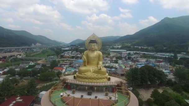 Widok Lotu Ptaka Hongbeopsa Temple Busan Korea Południowa Azja — Wideo stockowe