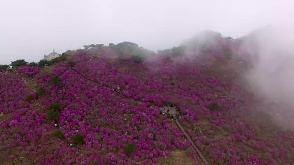 Mistige Bewolkte Biseul Mountain Daegu Zuid Korea Azië — Stockvideo