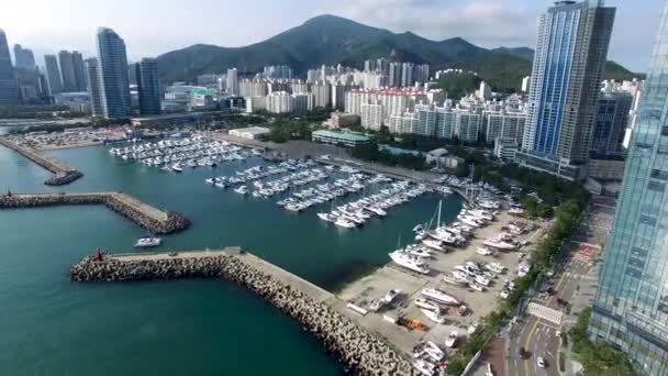 Letecký Pohled Haeundae Suyeong Bay Jachting Center Busan Jižní Korea — Stock video