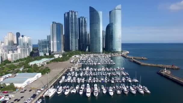 Vue Aérienne Centre Yachting Baie Haeundae Suyeong Busan Corée Sud — Video