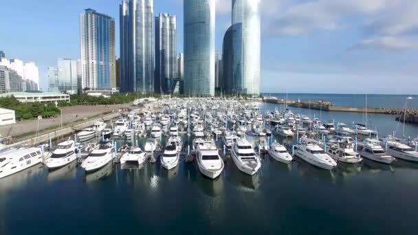 Letecký Pohled Haeundae Suyeong Bay Jachting Center Busan Jižní Korea — Stock video