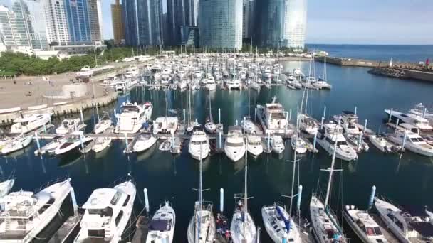 Luchtfoto Van Haeundae Suyeong Bay Yachting Center Busan Zuid Korea — Stockvideo