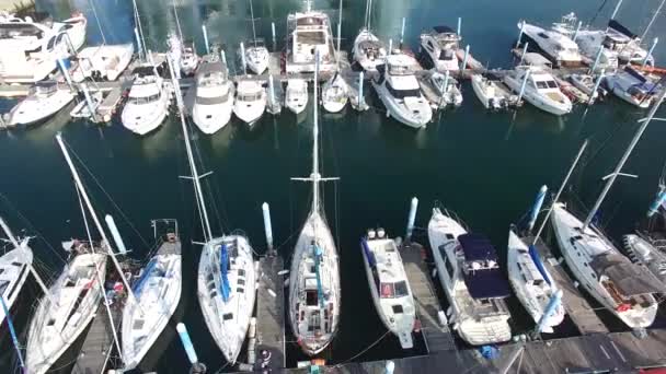 Luftaufnahme Von Haeundae Suyeong Bay Yachting Center Busan Südkorea Asien — Stockvideo