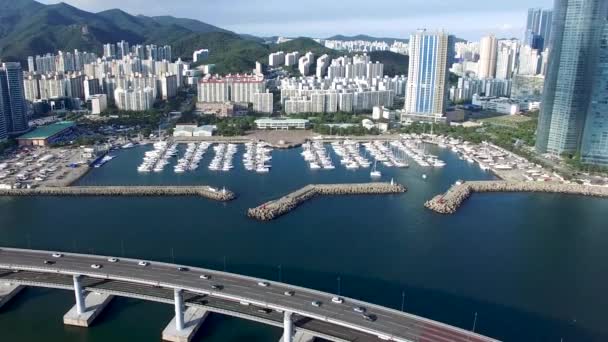 Letecký Pohled Haeundae Suyeong Bay Jachting Center Busan Jižní Korea — Stock video