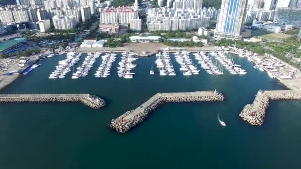 Luftaufnahme Von Haeundae Suyeong Bay Yachting Center Busan Südkorea Asien — Stockvideo
