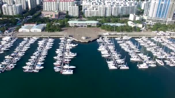 Letecký Pohled Haeundae Suyeong Bay Jachting Center Busan Jižní Korea — Stock video