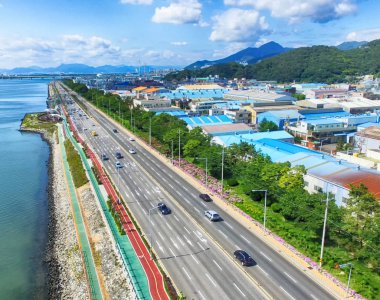 Dadaepo, Sahagu, Busan, Güney Kore, Asya'da çiçek açan Suguk bigleaf ortanca