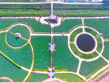 Lotus Tema Parkı Haman, Gyeongnam, Güney Kore, Asya