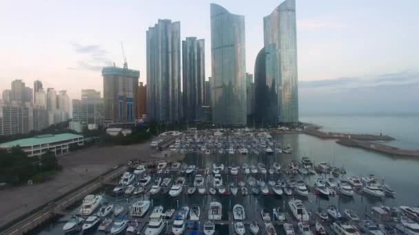 Vista Aérea Del Verano Haeundae Sea Busan Corea Del Sur — Vídeos de Stock