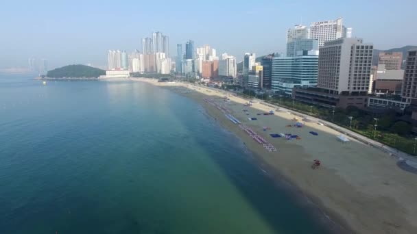 Matin Été Haeundae Beach Busan Corée Sud Asie — Video